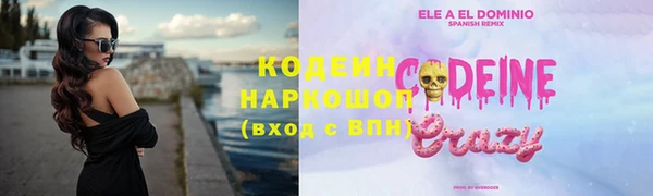круглые Пересвет