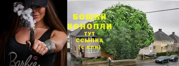 MESCALINE Осинники