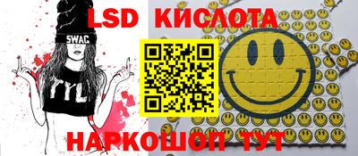 прущие грибы Коммунар